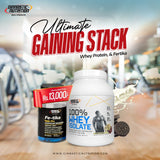 Ultimate Gaining Stack